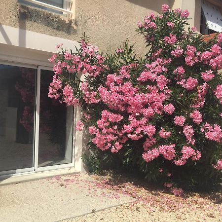 Gite De La Foye - Le Magnolia Combrand エクステリア 写真